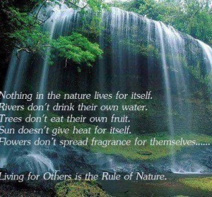 rule of nature